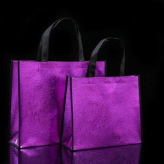 Foldable Laser Shopping Bag Reusable Waterproof Fabric Non-woven Bag Unisex