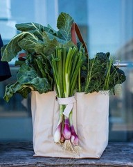 Capabunga Natural Multi-Pocket Canvas Market Tote Bag BRAND NEW with Tag
