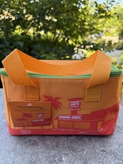 Trader Joe’s Orange and Green Zipper Mini Insulated Summer Tote, 1.5 Gal, NWT