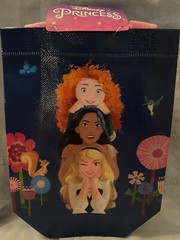 NEW Disney Princess 2 Pack Mini Reusable Halloween Bags w/ Handles Pink/Blue
