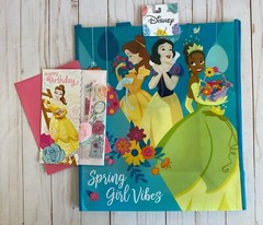 Belle Snow White Tiana Princesses Disney Reusable Gift Bag + Birthday Card New
