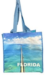 Keep Cool Florida Reusable Bags 4Pack Beach Scene & 7 Mile Bridge-XL & L NEW