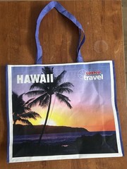 HAWAII Costco Travel Reusable Shopping Bag Tote NEW ✨Limited Edition✨ALOHA