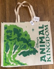 Disney Parks Animal Kingdom Reusable Shopping Tote Green White Recycled Plastic