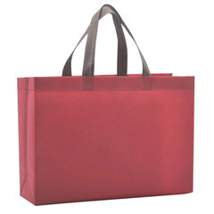 Women Foldable Shopping Bag Reusable Eco Large Unisex Fabric Non-Woven Shoulder
