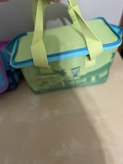 Trader Joes Mini Insulated Bags Holds Up To 1.5 Quart Great For Lunches