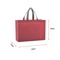 Women Foldable Shopping Bag Reusable Eco Large Unisex Fabric Non-Woven Shoulder