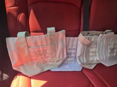 Trader Joe’s Striped Mini Canvas Reusable Tote Bags, Multicolor Set of 4