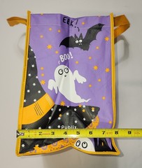 Publix HALLOWEEN Purple Orange Reusable Tote Bag Genuine Green Bag