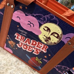 Trader Joe’s Stand-Up Collapsible Grocery Tote Bag NWT