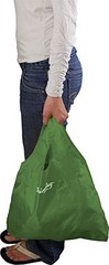 Pale Green Compact Reusable Shopping Tote Bag with Carabiner Eco Friendly Design