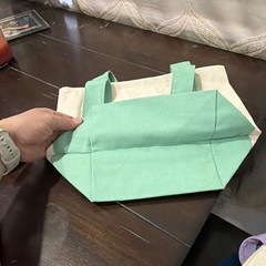 Trader Joe’s Reusable Tote Shopping Bag, Beige & Green Canvas Style