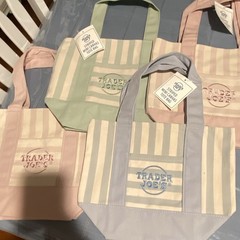 Trader Joe’s Striped Mini Canvas Tote Bag, Reusable Multicolor