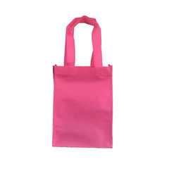 12Pcs Reusable Treat bag, Goody,Gift,Book,Party and Favor bag 8X11X5 non woven