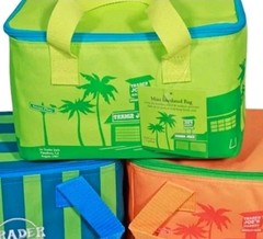 Trader Joe’s Set Of Two Mini Insulated Cooler Bags 1.5 Gl