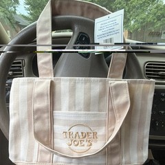 Trader Joe’s Striped Mini Canvas Tote Bag Beige/White Reusable Machine Wash