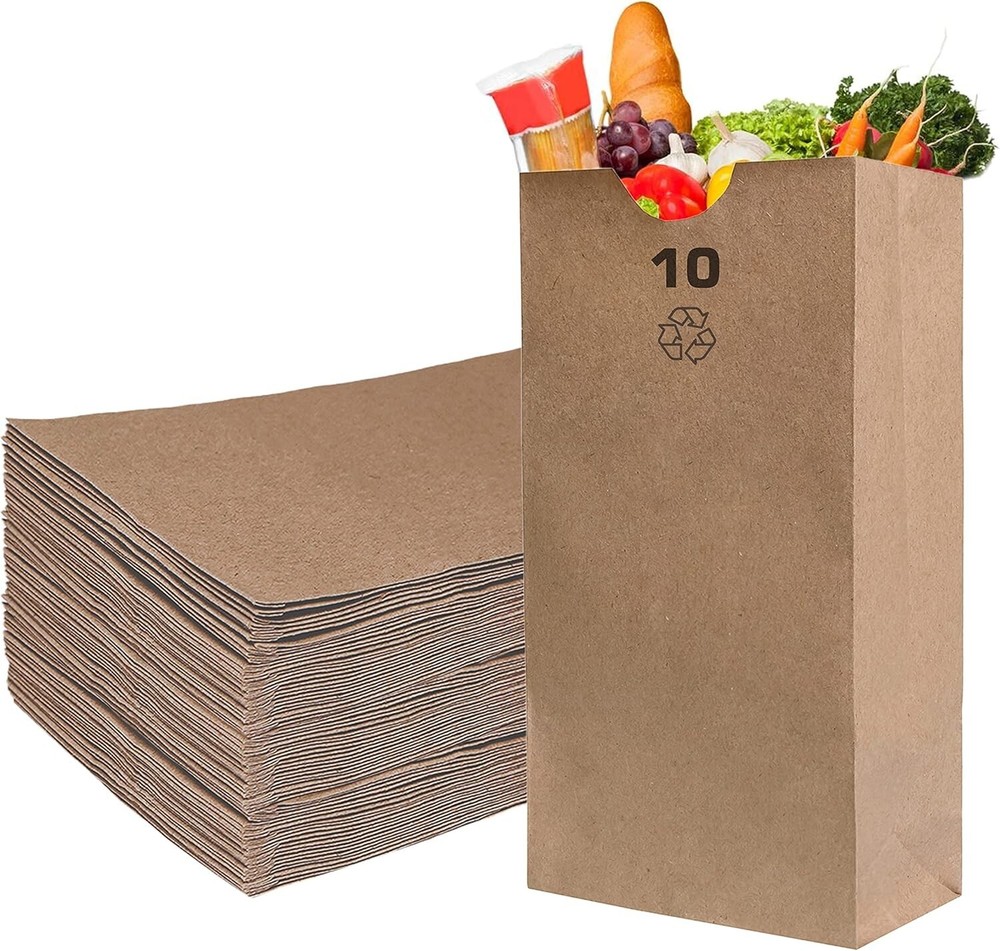 10 lb. Large Brown Kraft Paper Bag, Paper Lunch Bags, Small Snacks Bag 2000pcs