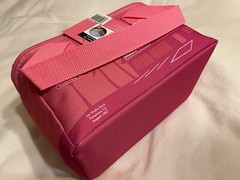 NWT! Bundle Set of 2 in Peach & Pink: Trader Joe’s Mini Insulated Cooler Bags!