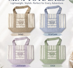 Trader Joe’s Canvas Mini Tote Bag Striped Multicolor 13x11x6 in New