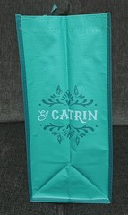 CATRINA/CATRIN DAY OF THE DEAD/DIA DE LOS MUERTOS REUSABLE BAG 15.5X13X7 NEW