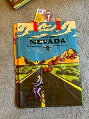 Trader Joe’s Nevada 1967 Reusable Shopping Bag Foldable Poly Graphic Print NWT