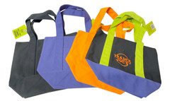 Trader Joe’s Reusable Canvas Tote Bag Colorful Mini Shopper Viral