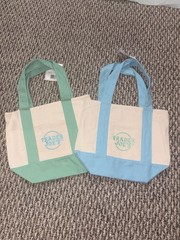 Trader Joe’s Mini Canvas Tote Bags 2-Pack Beige Green Blue Colorblock