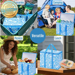 Insulated Cooler Bags Reusable Grocery Shopping Bags 2 Pack Large Heavy Duty