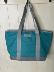 Publix Insulated Cooler Shopping Tote Reusable Bag – Teal Blue 20″