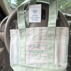 Trader Joe’s Striped Mini Canvas Tote Bag Green/White Reusable Machine Wash