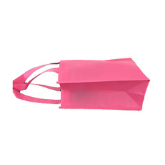 12Pcs Reusable Treat bag, Goody,Gift,Book,Party and Favor bag 8X11X5 non woven