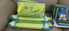 Trader Joe’s Mini Insulated Tote Bag Limited Edition Green And Teal