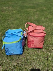 Trader joe’s Mini Insulated Bags SET PEACH & BLUE NEW LIMITED EDITION IN HAND