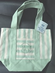 Trader Joe’s Mini Canvas Tote Bag Striped Green/White 10x6x12 in
