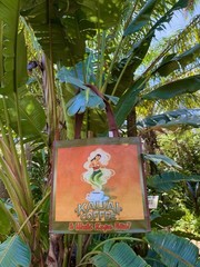 KAUAI Coffee Estate Reserve REUSABLE Hula Girl Bag NEW