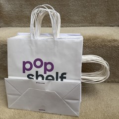 White Medium Paper Party Shopping Gift Bags with Handles 10x8x5 – Popshelf