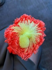 33CM 100p Reusable Plastic Mesh Net Bags with Draw String Egg boil Shellfish