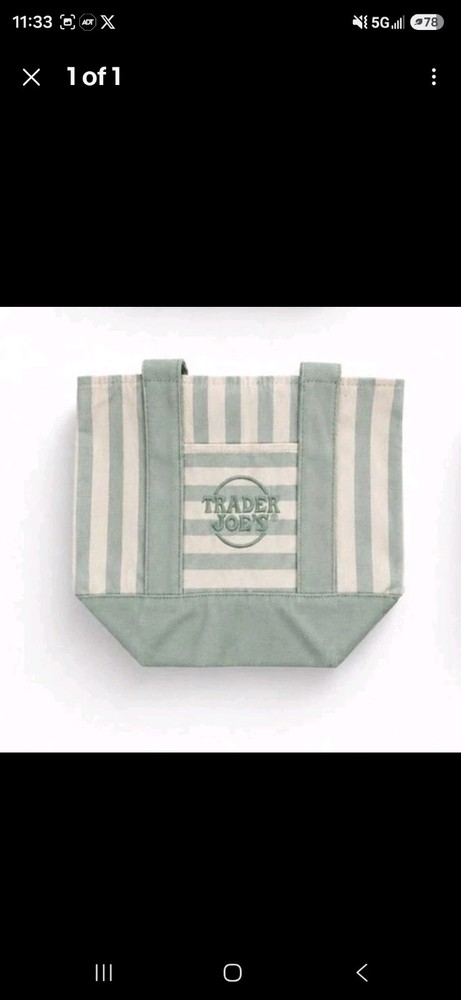 Trader Joe’s Striped Mini Canvas Tote Bag Seafoam Green 2026 Limited Edition