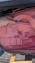 2025 Trader Joe’s Insulated Summer Totes Set Of Two Peach And Blue