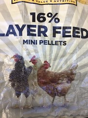 Large Handmade Repurposed, Recycled Chicken Feed Bag Tote, Purse