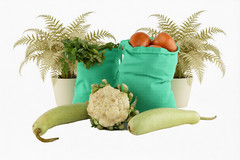Green Cotton Single Drawstring Bags – Premium Quality – Reusable – Select Sizes