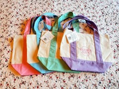 Trader Joe’s Mini Pastel Canvas Tote Bags Reusable Set of 4