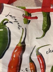 20×13 Earthwise Pepper Food Multicolor Reusable Shopping Bag