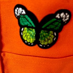 Trader Joe’s One Mini Bag Embroidery 2 Pretty Butterfly 🦋 4 Honeybee 🐝