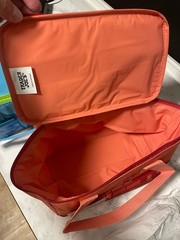 Trader Joe’s Mini Insulated Set of 2 Cooler Bags Peach Blue Limited Edition NEW
