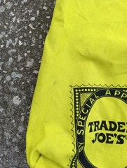 Trader Joe’s By Special Appointment Green Tote Reusable Bag Woman Fruit USA