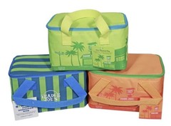 Trader Joe’s Mini Insulated Tote Bag 1.5 Gallons Orange – New