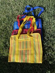 Multicolor Stripe Plastic Reusable Tote 25 Bag w/ Handles, 9-15 inches