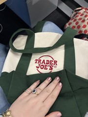 Trader Joe’s Foldable Canvas Reusable Shopping Bag Green Beige Colorblock