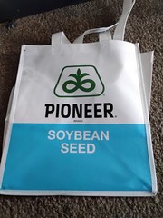NICE LARGE LINEN BAGS PIONEER BRAND – SOYBEAN SEED